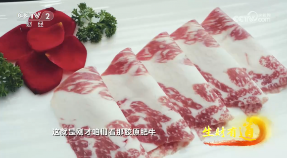 ɽ��ʡ������CCTV2�������е���